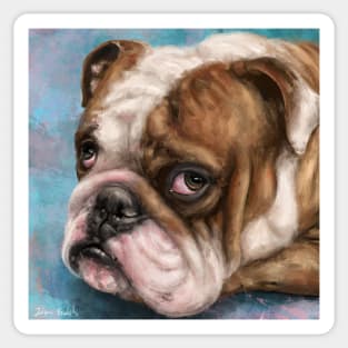 Painting of a Brown and white Bulldog with a Sad Face on Blue Background Sticker